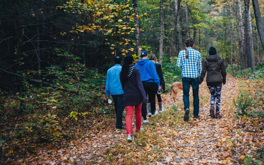 Community Walking Group Pugwash