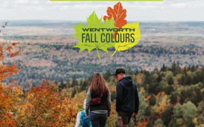 Wentworth Fall Colors Walk